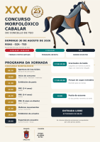 novo cartel