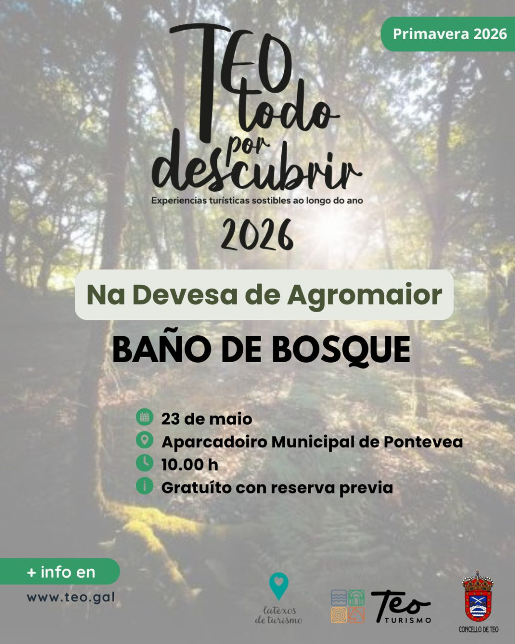 Baño de Bosque 