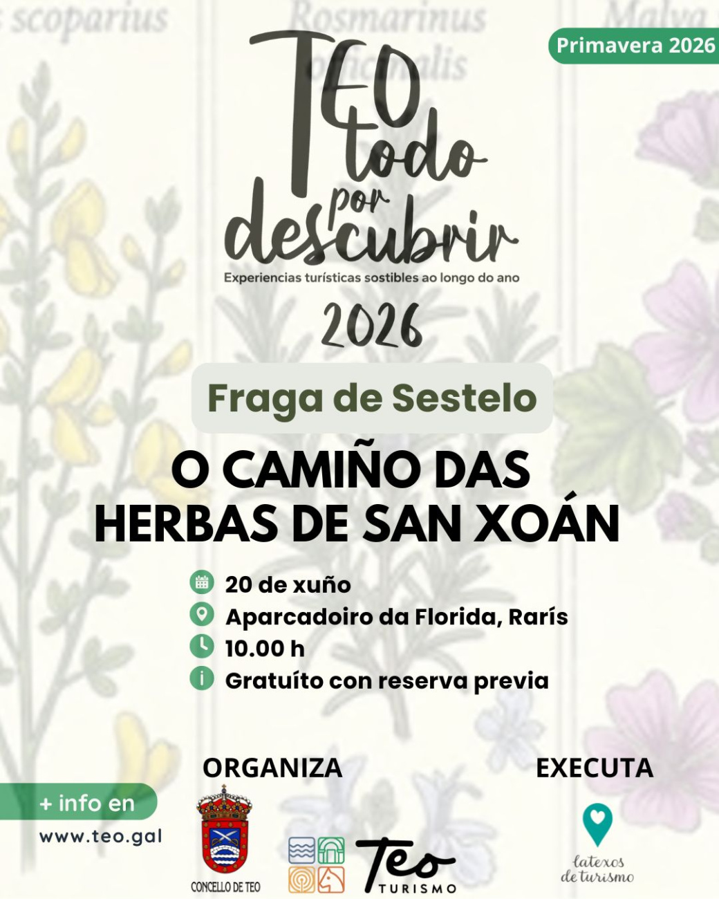 HERBAS