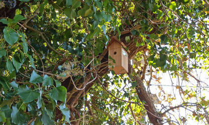 caixa niño na Tomada